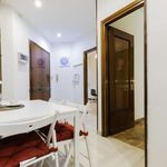 Rent a room in Bologna