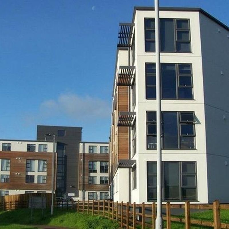 Flat to rent in Flat 17, Plymbridge Lane, Derriford, Plymouth PL6