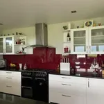 Rent 4 bedroom house in Kaikoura