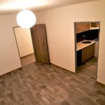 Rent 1 bedroom apartment in Most