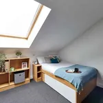 Rent 1 bedroom apartment in Coventry