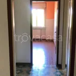 Rent 2 bedroom apartment of 65 m² in Verrone