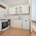 Rent 1 bedroom apartment in Kladno