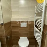 Rent 1 bedroom apartment in Bruntál