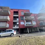 Rent 2 bedroom apartment of 48 m² in Graz