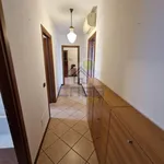 Rent 3 bedroom apartment of 100 m² in Cremona