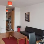 Rent 1 bedroom apartment of 55 m² in dublin