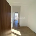 Rent 3 bedroom apartment of 70 m² in Casalpusterlengo