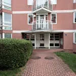 Rent 1 bedroom apartment of 44 m² in Prague