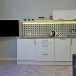 Rent 1 bedroom apartment of 29 m² in Toruń