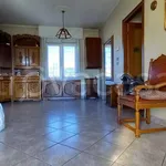 Rent 2 bedroom apartment of 58 m² in Cigliano