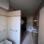 Rent 1 bedroom apartment of 40 m² in Novara