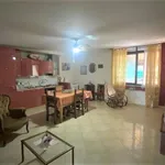 Rent 2 bedroom house of 150 m² in carini