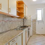 Rent 4 bedroom apartment of 218 m² in Zagreb