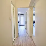 Rent 1 bedroom apartment in Brno