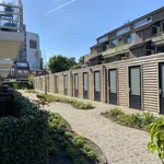 Rent 2 bedroom apartment of 50 m² in De Waard