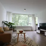 Populierenlaan, Amstelveen - Amsterdam Apartments for Rent