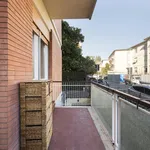 Rent 1 bedroom apartment in Florence