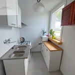 Rent 2 bedroom apartment of 38 m² in Łódź