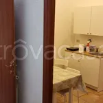 Rent 2 bedroom apartment of 40 m² in Bologna