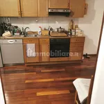 Rent 3 bedroom apartment of 98 m² in Turin