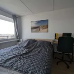 Miete 1 Schlafzimmer wohnung in berlin