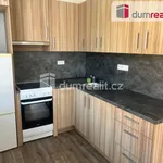 Rent 3 bedroom apartment of 68 m² in Mělník