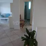 Rent 2 bedroom apartment of 120 m² in Olbia