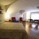 Rent 1 bedroom apartment of 45 m² in Torino