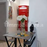 Rent 1 bedroom apartment of 40 m² in Turin