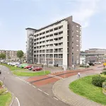 Rent 2 bedroom apartment of 89 m² in Arnhem