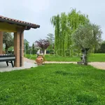 Rent 4 bedroom house of 200 m² in Casalecchio di Reno