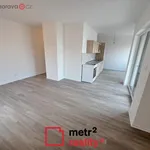 Rent 1 bedroom apartment in Lipník nad Bečvou