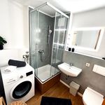 Rent 1 bedroom apartment of 42 m² in Dresden