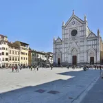 Rent 1 bedroom apartment in Florence