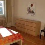 Rent 2 bedroom apartment of 71 m² in Berlin