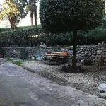 Rent a room in perugia