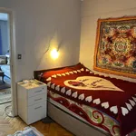 Rent 1 bedroom apartment of 65 m² in Istanbul