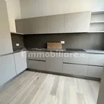 Rent 3 bedroom apartment of 120 m² in Modena