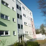 Rent 4 bedroom apartment of 65 m² in Dortmund