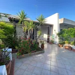 Rent 3 bedroom house of 82 m² in Carovigno