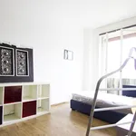 Rent 1 bedroom apartment of 15 m² in Milano