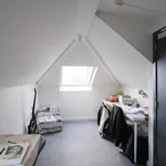 Rent 1 bedroom apartment in Gent