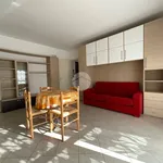 Rent 1 bedroom apartment of 42 m² in Leini