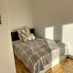 Miete 1 Schlafzimmer wohnung von 42 m² in Kiel