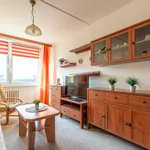 Rent 2 bedroom apartment of 40 m² in litvinov