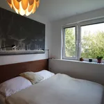 Rent 3 bedroom apartment of 110 m² in Prague