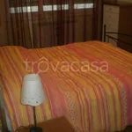 Rent 3 bedroom apartment of 60 m² in Roma