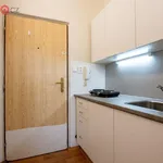 Rent 1 bedroom apartment of 20 m² in Brno