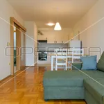 Rent 1 bedroom apartment of 55 m² in City of Zagreb